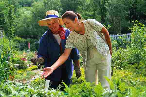 De ce este grădinăritul bun pentru sănătate