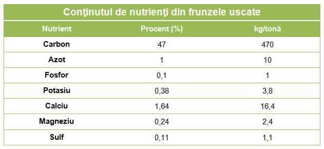 Cum se face compostul din frunze uscate