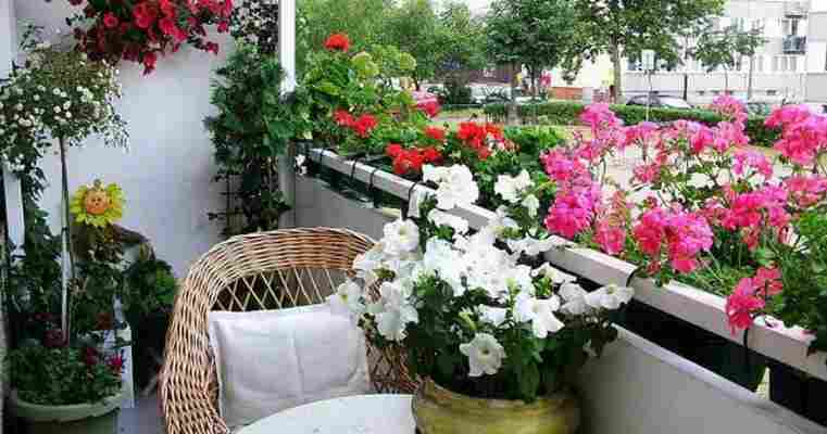 Sfaturi şi sugestii de amenajare pentru grădina din balcon