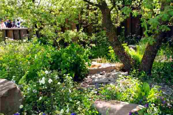 Grădina sălbatică – pe cât de comodă, pe atât de captivantă