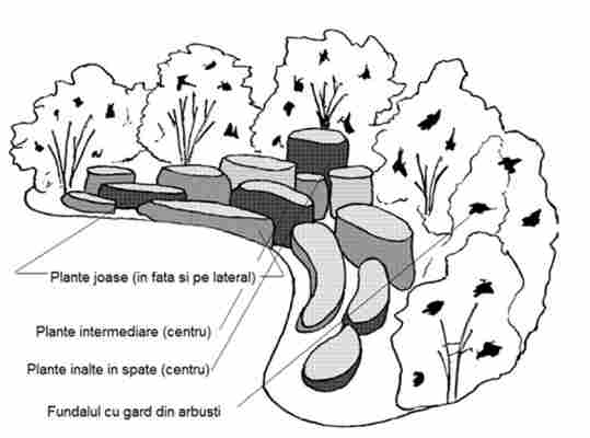 Cum amenajați o grădină cu flori anuale?